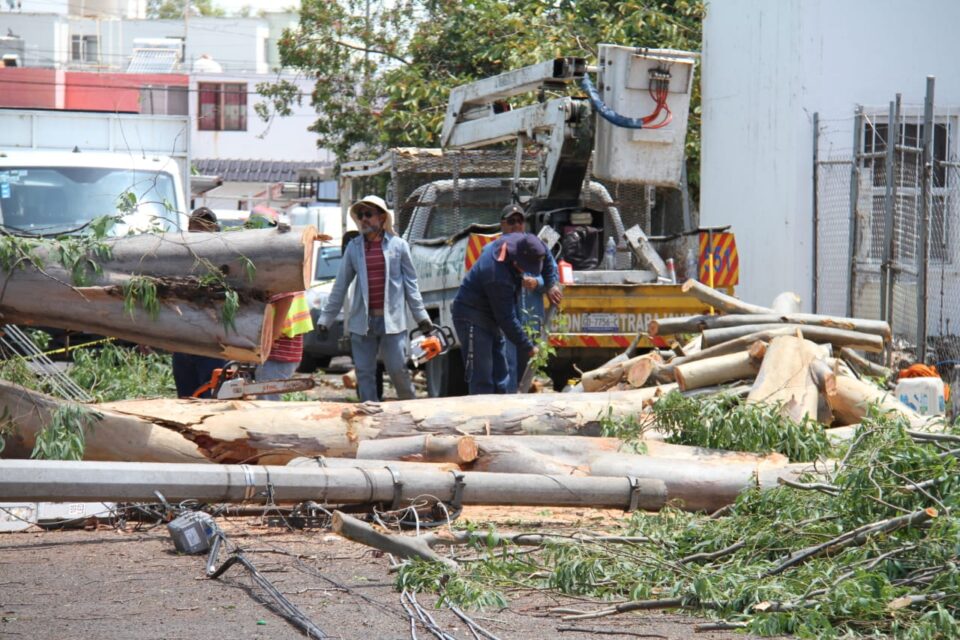 ATIENDE SERVICIOS PÚBLICOS REPORTES TRAS LLUVIAS Y FUERTES VIENTOS EN IRAPUATO